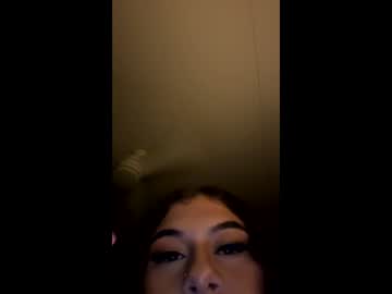 dazzlingkitten
