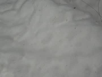 temptriss69